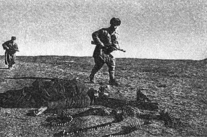Десанты 1941 года Десанты 1941 года