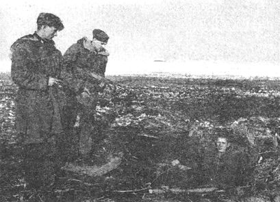 Десанты 1941 года Десанты 1941 года