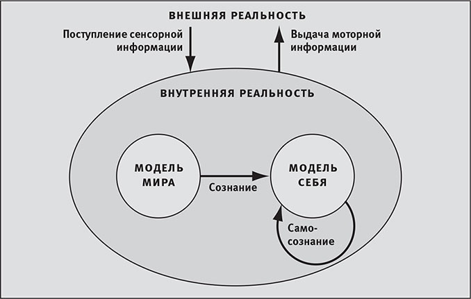 Наша математическая вселенная. В поисках фундаментальной природы реальности Наша математическая вселенная. В поисках фундаментальной природы реальности