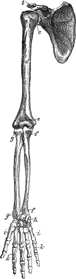 Модицина. Encyclopedia Pathologica Модицина. Encyclopedia Pathologica