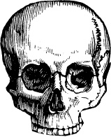 Модицина. Encyclopedia Pathologica Модицина. Encyclopedia Pathologica