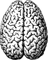 Модицина. Encyclopedia Pathologica