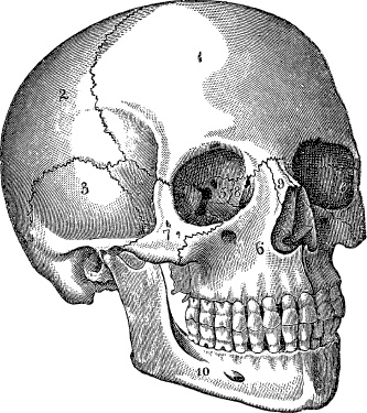 Модицина. Encyclopedia Pathologica