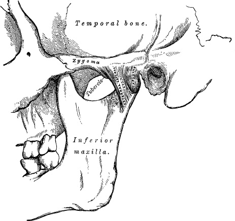 Модицина. Encyclopedia Pathologica Модицина. Encyclopedia Pathologica