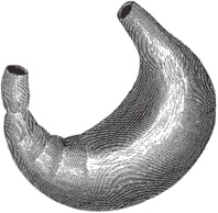 Модицина 2. Апология Модицина 2. Апология