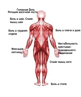 Забыть стоматологов. Диеты. Симперцептинг Забыть стоматологов. Диеты. Симперцептинг
