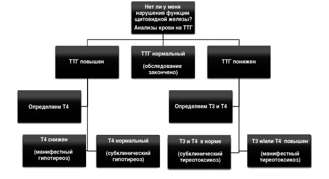 Полный курс медицинской грамотности Полный курс медицинской грамотности