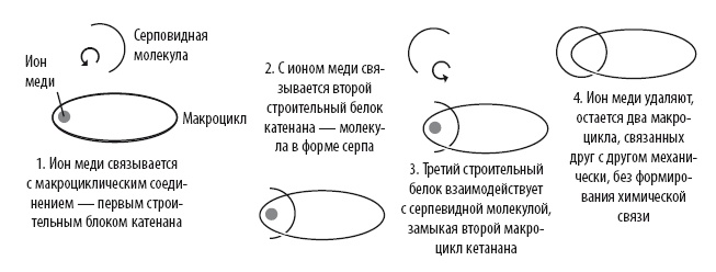Жизнь замечательных веществ