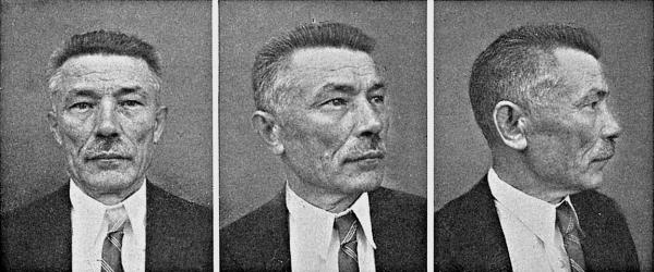 Расы Европы Расы Европы