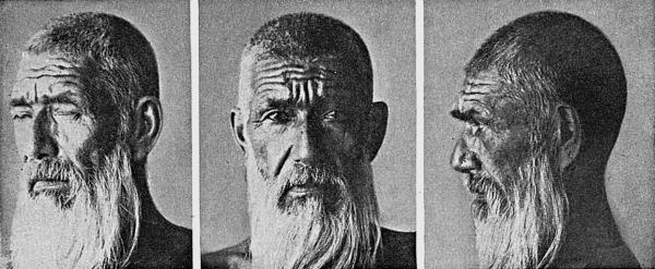 Расы Европы Расы Европы