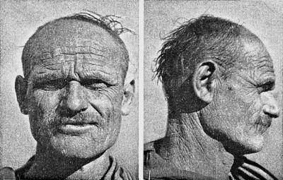 Расы Европы Расы Европы