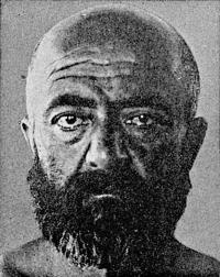 Расы Европы Расы Европы