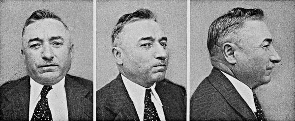 Расы Европы Расы Европы