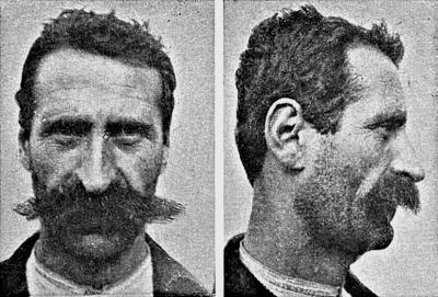 Расы Европы Расы Европы