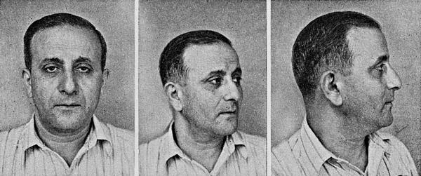 Расы Европы Расы Европы