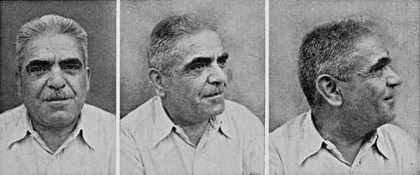 Расы Европы Расы Европы