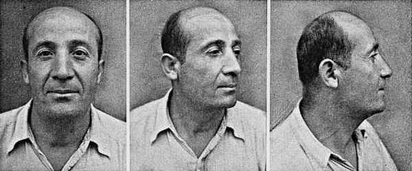 Расы Европы Расы Европы