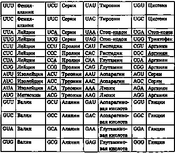 Эволюция Вселенной и происхождение жизни