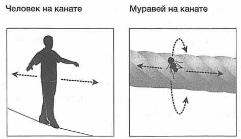Достучаться до небес. Научный взгляд на устройство Вселенной