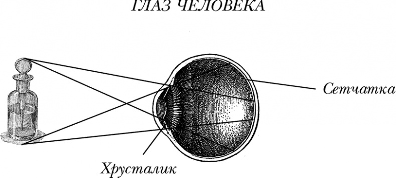 Чердак. Только физика, только хардкор