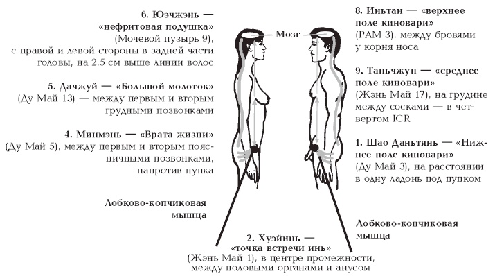 Секреты любви. Даосская практика для женщин и мужчин