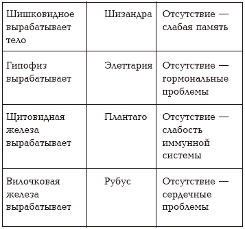 Секреты любви. Даосская практика для женщин и мужчин