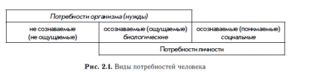 Мотивация и мотивы Мотивация и мотивы