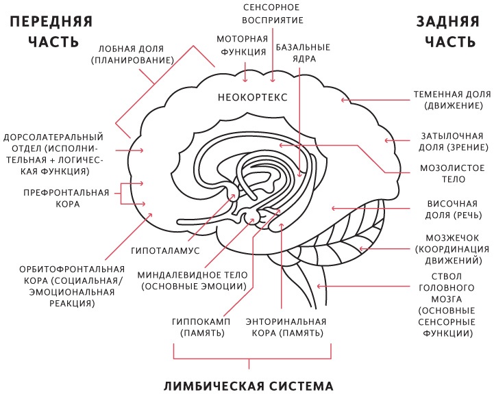 Принципы. Жизнь и работа Принципы. Жизнь и работа