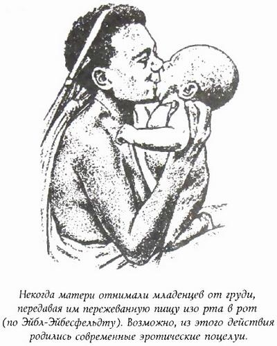 Библия языка телодвижений Библия языка телодвижений
