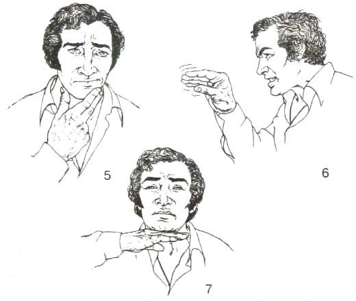 Библия языка телодвижений Библия языка телодвижений