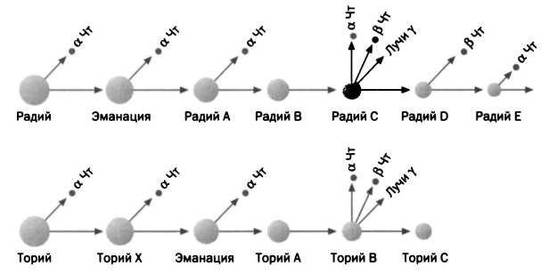 Лиза Мейтнер. Расщепление ядра