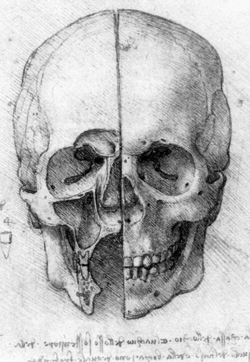 Впереди веков. Историческая повесть из жизни Леонардо да Винчи Впереди веков. Историческая повесть из жизни Леонардо да Винчи