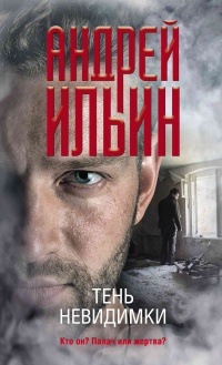 Тень невидимки - Андрей Ильин