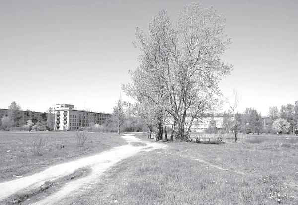 Исторические районы Петербурга от А до Я Исторические районы Петербурга от А до Я