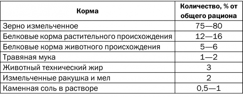 Разведение и выращивание кур обычных пород и бройлеров Разведение и выращивание кур обычных пород и бройлеров