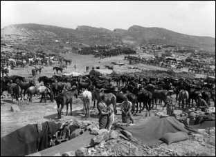 Дарданеллы 1915: Самое кровавое поражение Черчилля Дарданеллы 1915: Самое кровавое поражение Черчилля