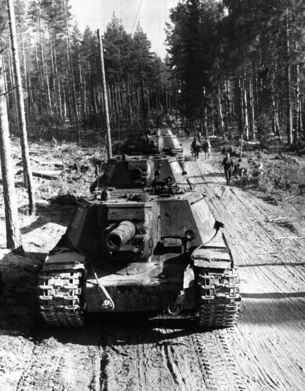 «Зверобои». Убийцы «Тигров» «Зверобои». Убийцы «Тигров»