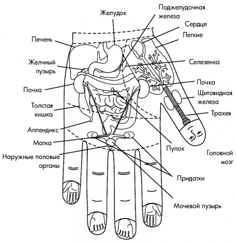 Су-Джок лечит. Мигрень, кашель, боль в спине, тяжесть в желудке Су-Джок лечит. Мигрень, кашель, боль в спине, тяжесть в желудке