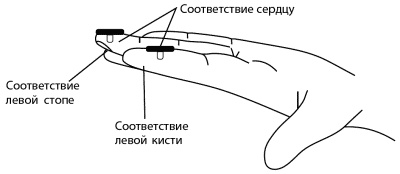 Су-Джок лечит. Мигрень, кашель, боль в спине, тяжесть в желудке Су-Джок лечит. Мигрень, кашель, боль в спине, тяжесть в желудке