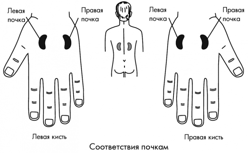 Су-Джок лечит. Мигрень, кашель, боль в спине, тяжесть в желудке Су-Джок лечит. Мигрень, кашель, боль в спине, тяжесть в желудке