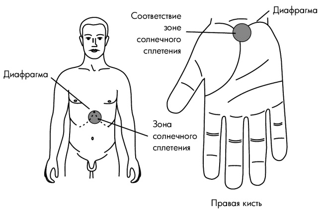 Су-Джок лечит. Мигрень, кашель, боль в спине, тяжесть в желудке Су-Джок лечит. Мигрень, кашель, боль в спине, тяжесть в желудке