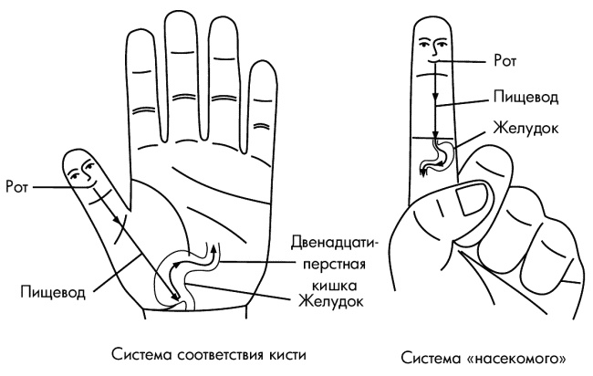 Су-Джок лечит. Мигрень, кашель, боль в спине, тяжесть в желудке Су-Джок лечит. Мигрень, кашель, боль в спине, тяжесть в желудке