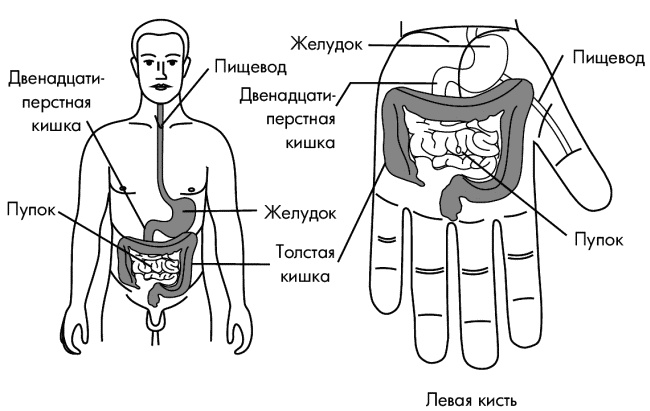Су-Джок лечит. Мигрень, кашель, боль в спине, тяжесть в желудке Су-Джок лечит. Мигрень, кашель, боль в спине, тяжесть в желудке