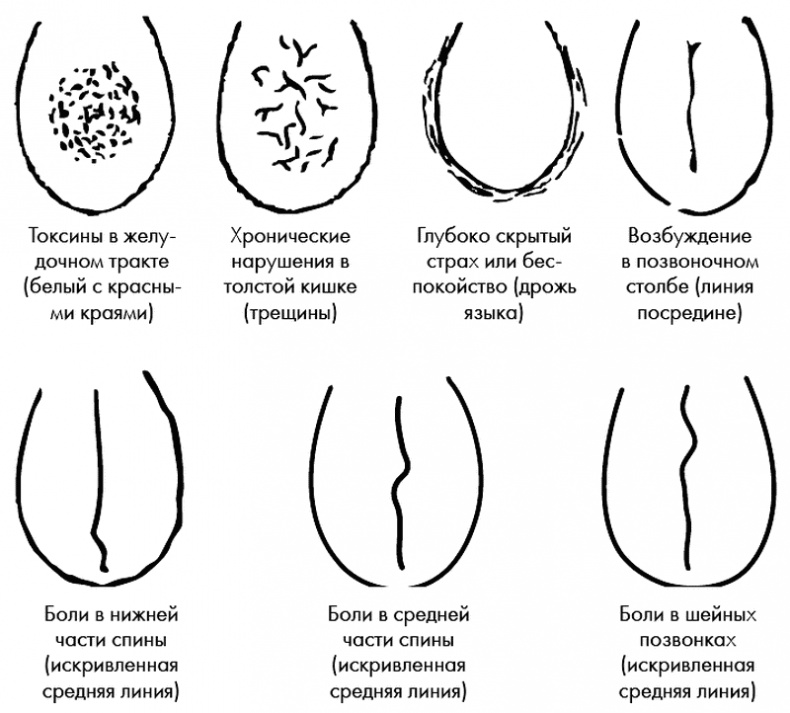 Су-Джок лечит. Мигрень, кашель, боль в спине, тяжесть в желудке Су-Джок лечит. Мигрень, кашель, боль в спине, тяжесть в желудке