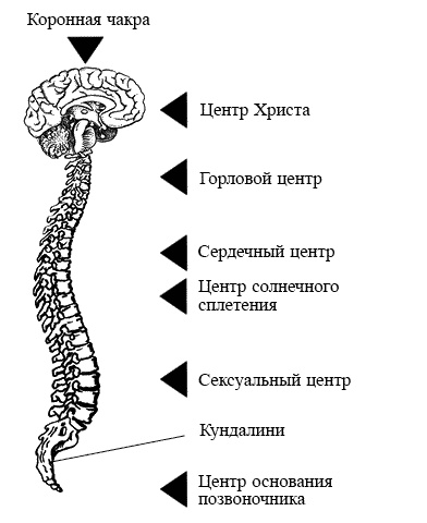 Экстрасенсорика – путь к исцелению других, ключ к пониманию себя Экстрасенсорика – путь к исцелению других, ключ к пониманию себя