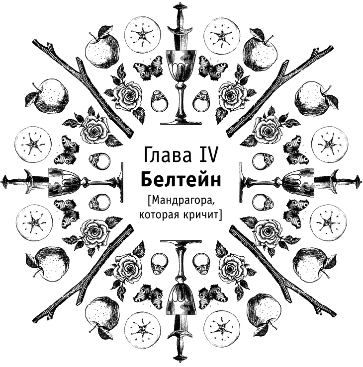 Круг Года. Викканские праздники, их атрибуты и значение