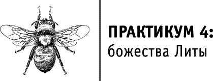 Круг Года. Викканские праздники, их атрибуты и значение Круг Года. Викканские праздники, их атрибуты и значение