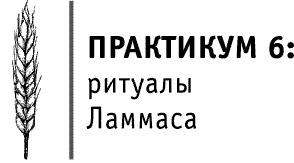 Круг Года. Викканские праздники, их атрибуты и значение Круг Года. Викканские праздники, их атрибуты и значение