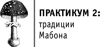 Круг Года. Викканские праздники, их атрибуты и значение Круг Года. Викканские праздники, их атрибуты и значение