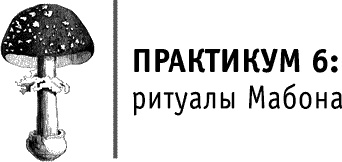 Круг Года. Викканские праздники, их атрибуты и значение Круг Года. Викканские праздники, их атрибуты и значение